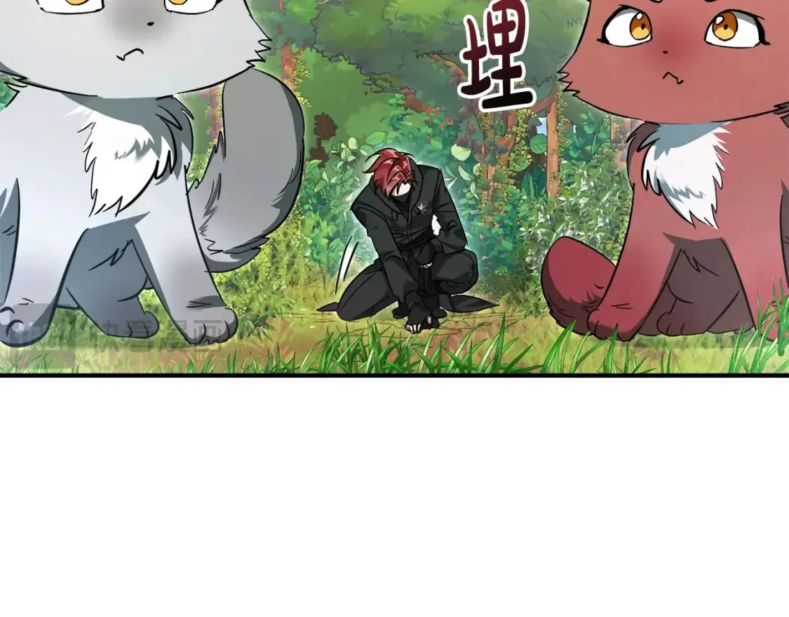 第118话 行动开始141