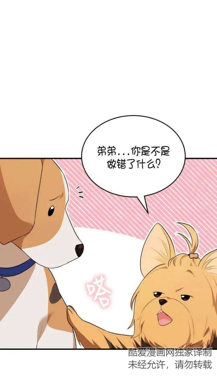第09话41
