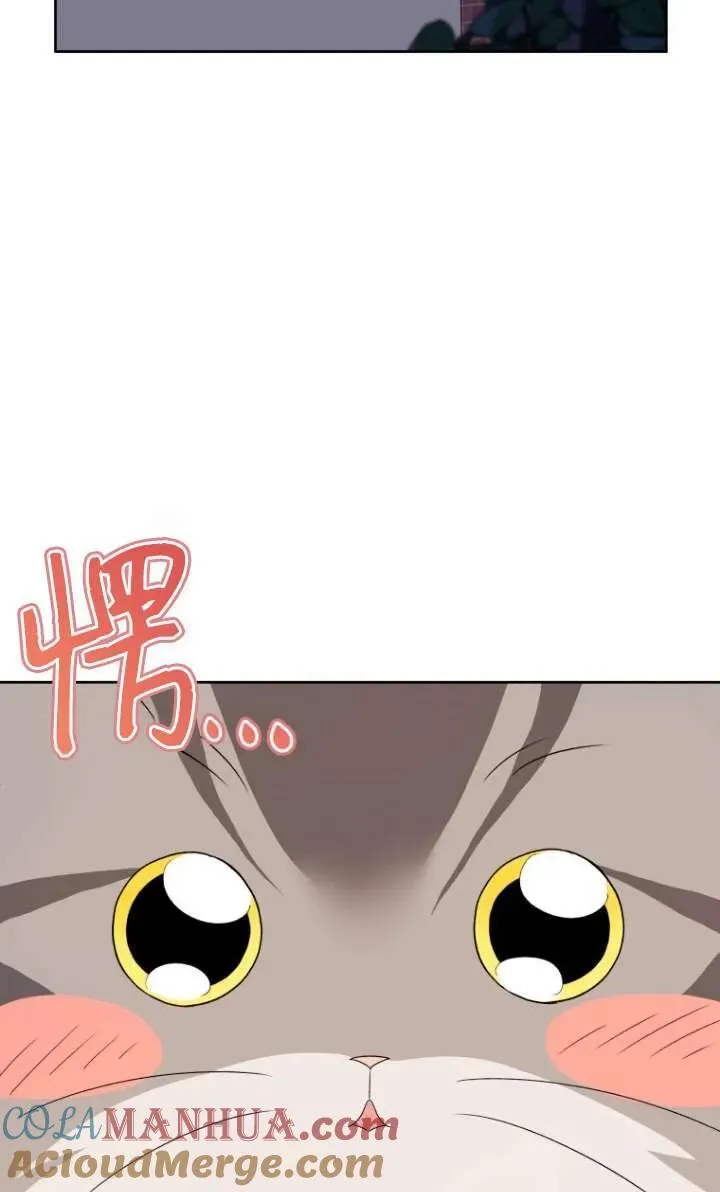 第15话44