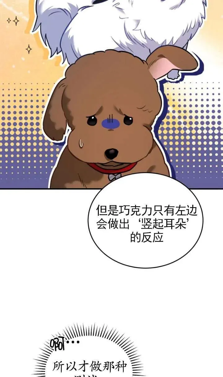 第03话62