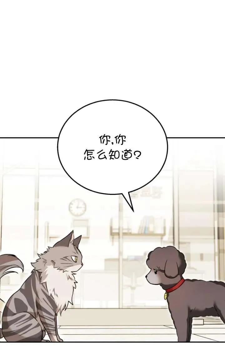 第35话35