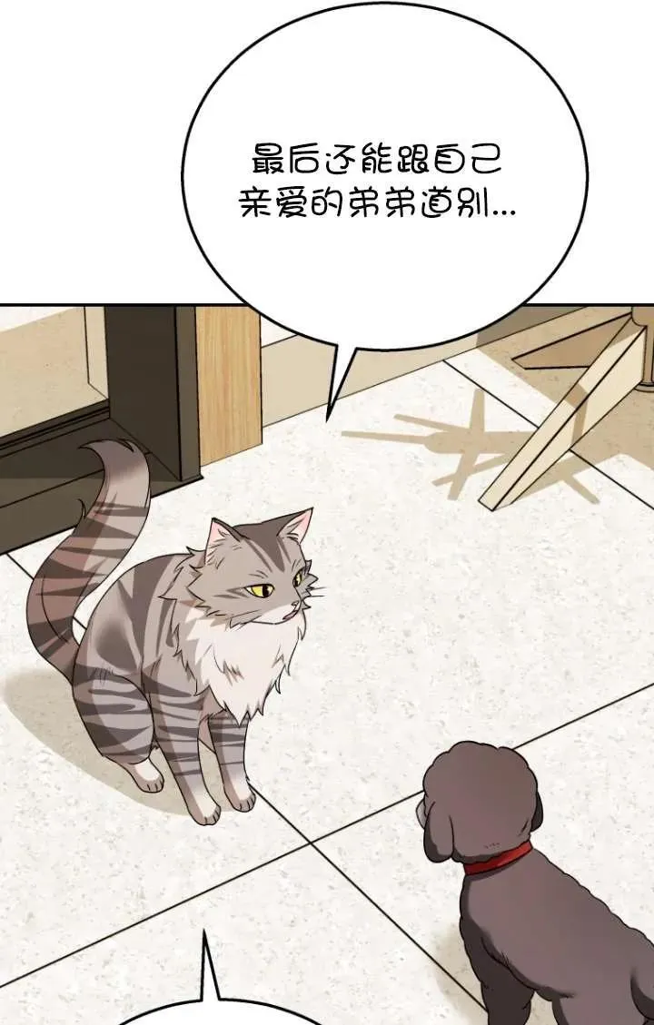 第35话41