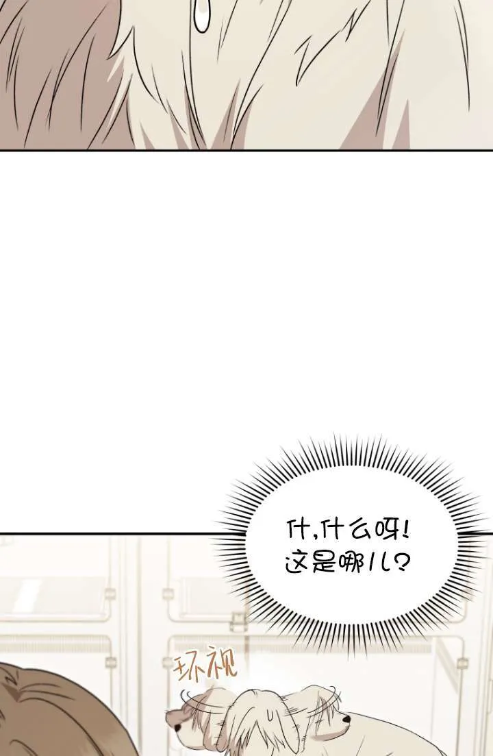 第49话17