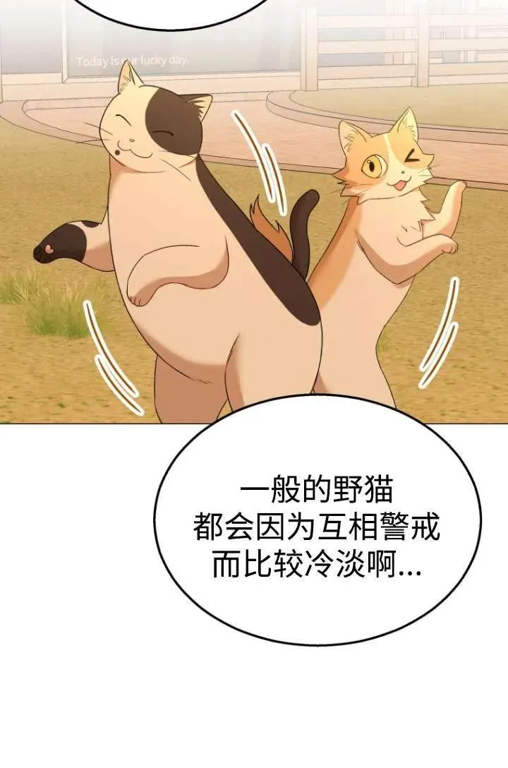 第39话19