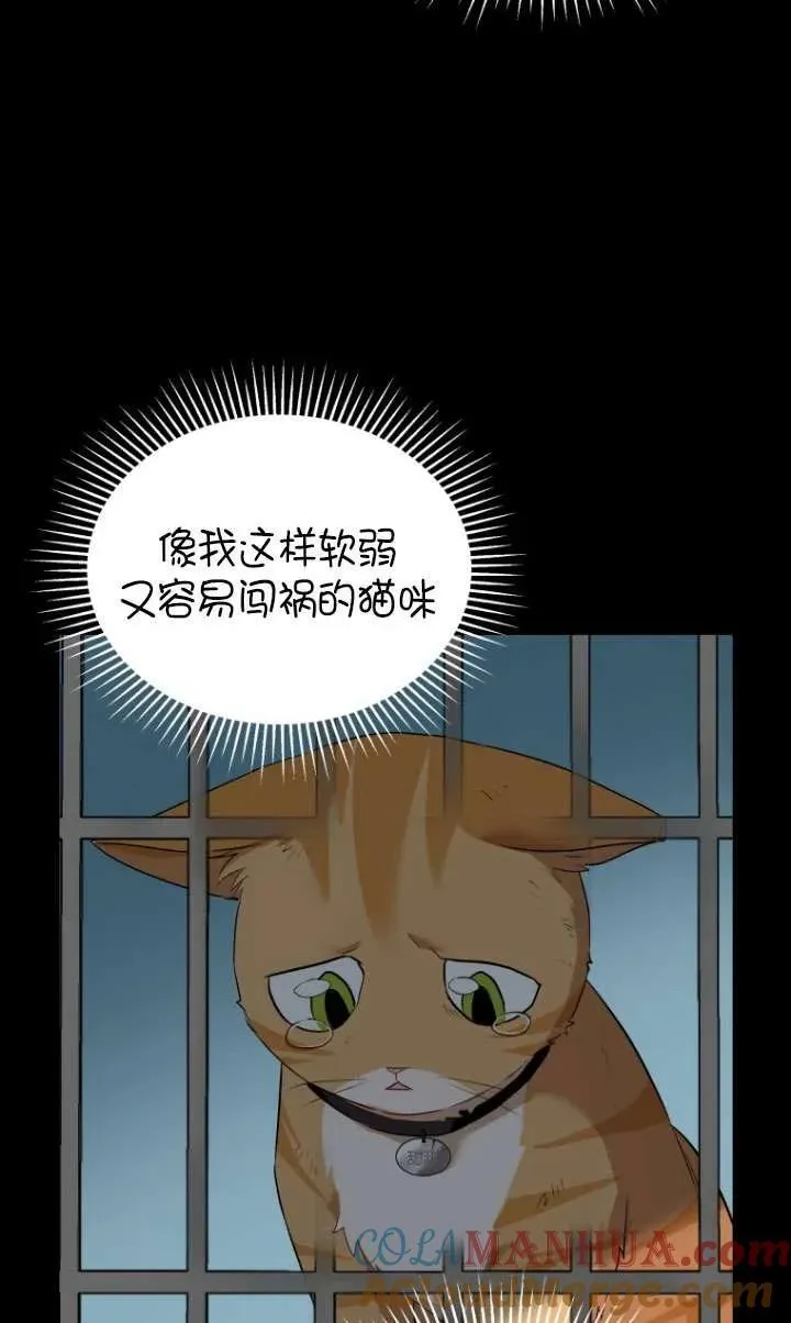 第07话56