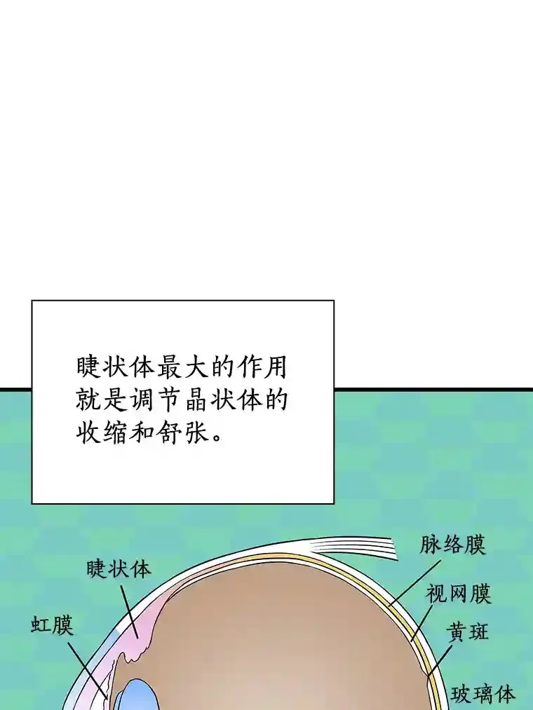 6.了解人类83