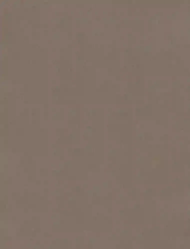 19.第一49