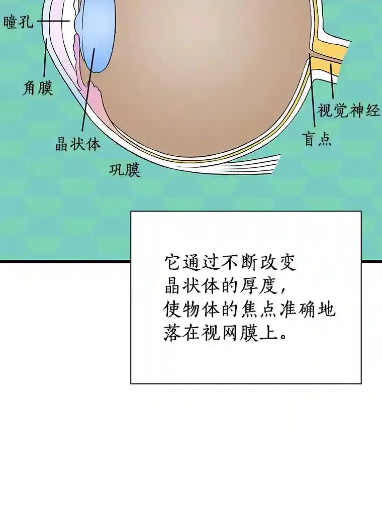 6.了解人类84