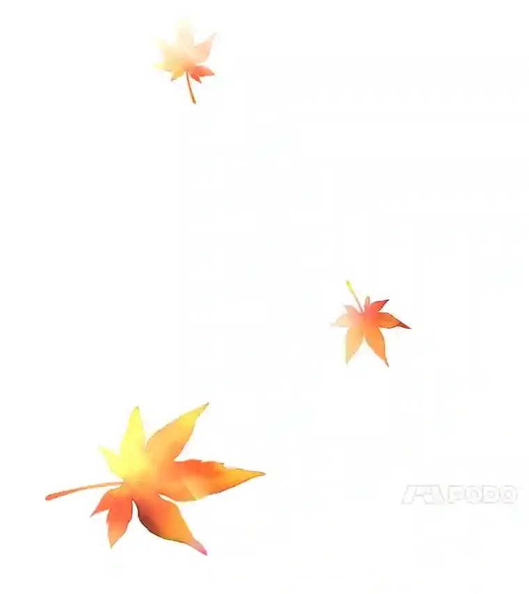 29.不敌死神73