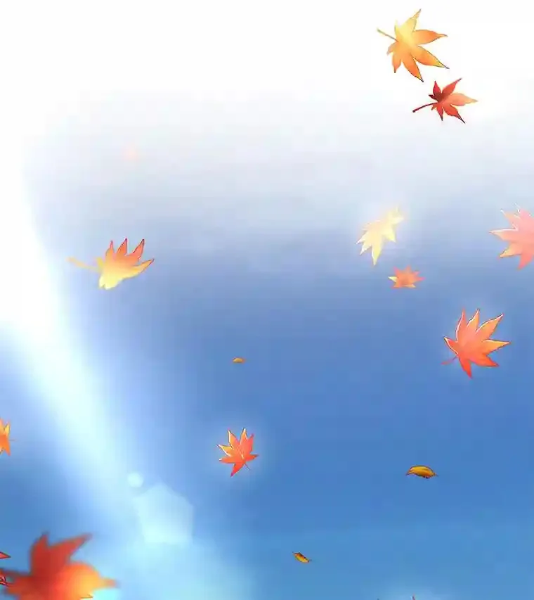 29.不敌死神74