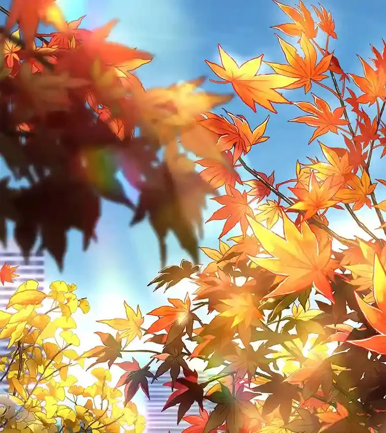 29.不敌死神75