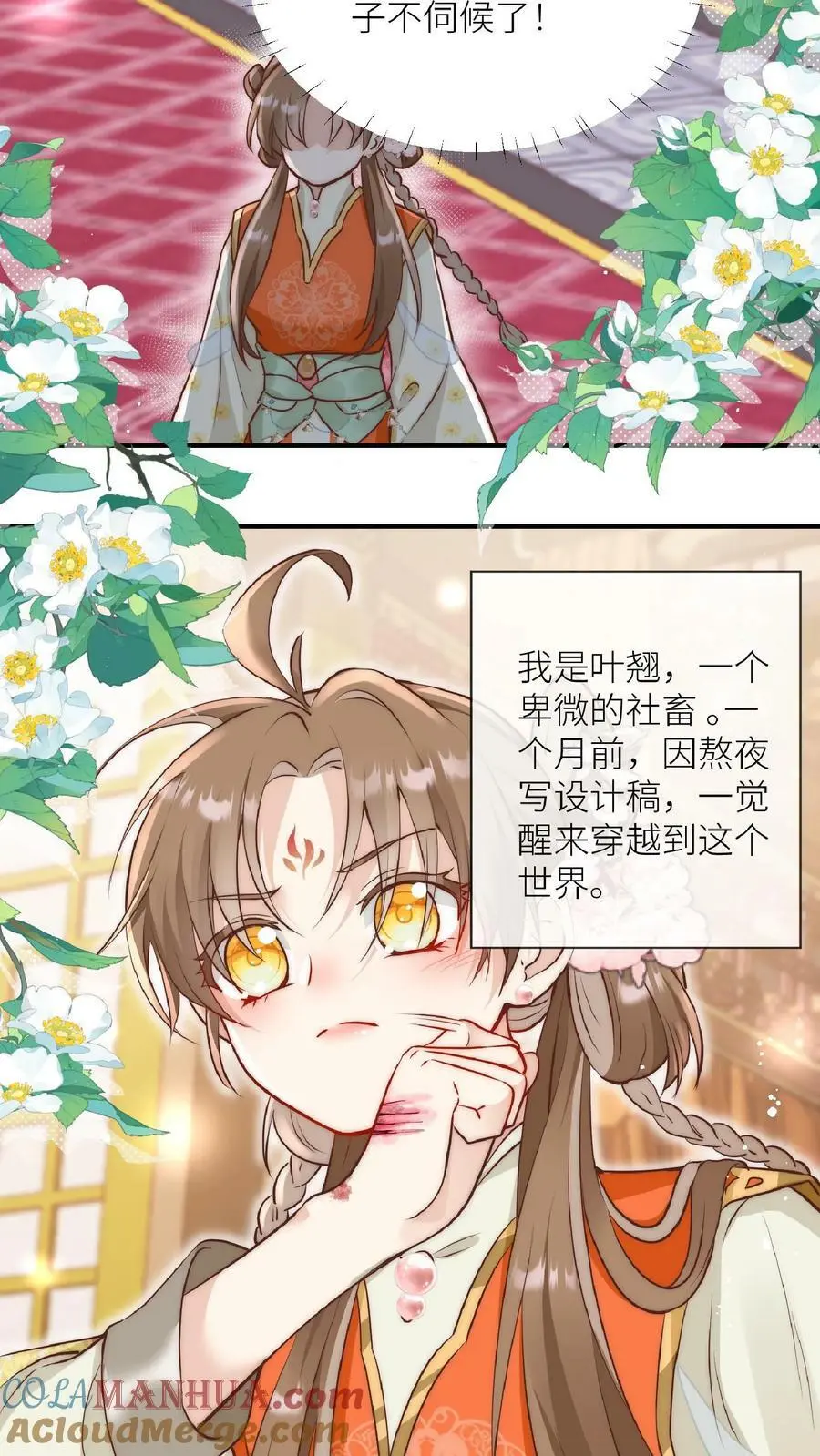第1话 穿书炮灰今天开始摆烂了36
