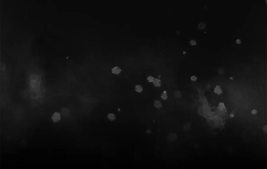 第31话 伟大的抱负205