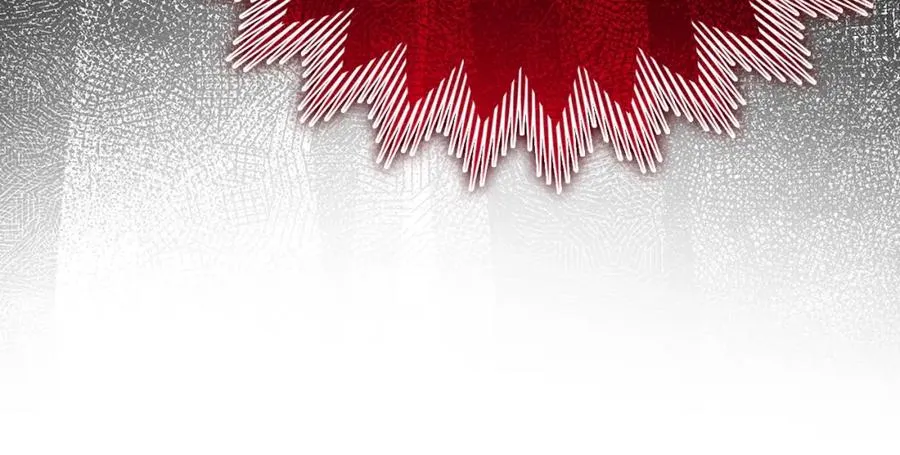 第14话 追杀令239