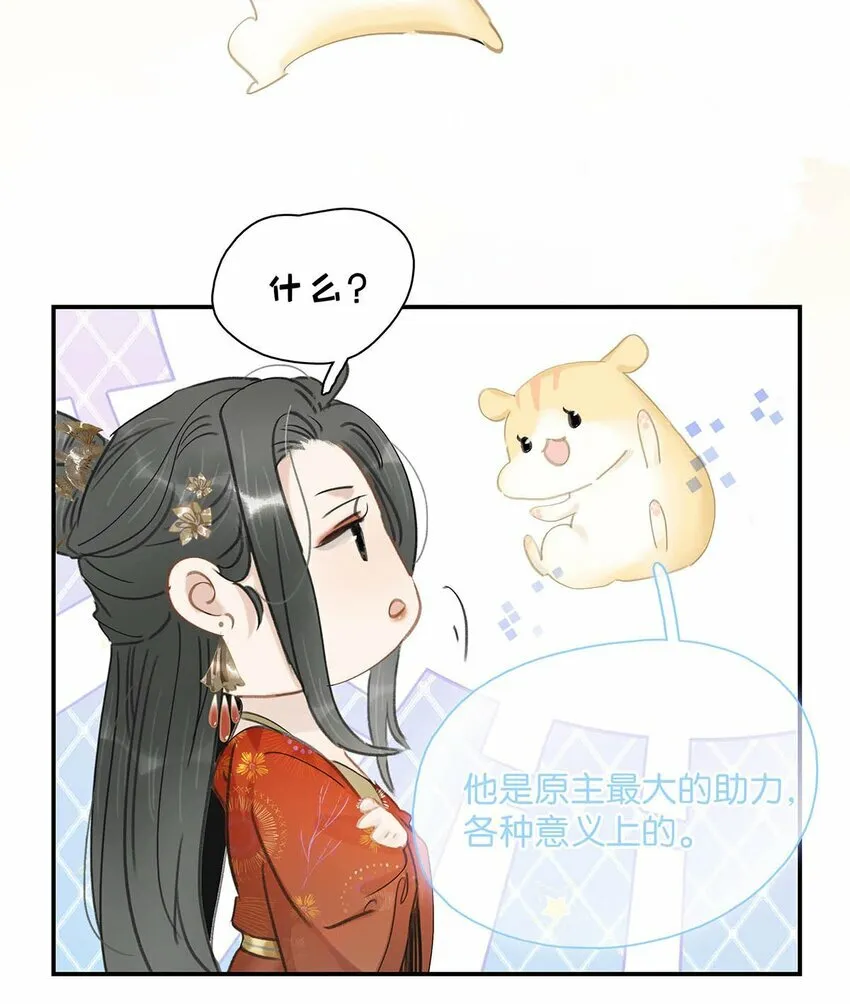 022 这个便宜舅舅是保障我荣华富贵的大腿？3