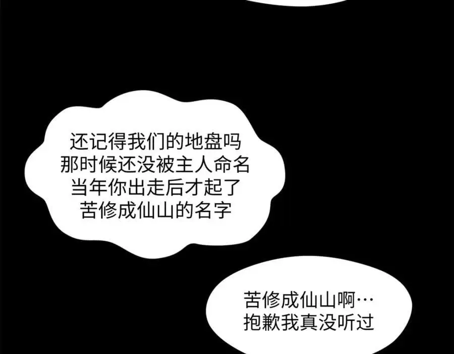 139 苏岐，对不起！79
