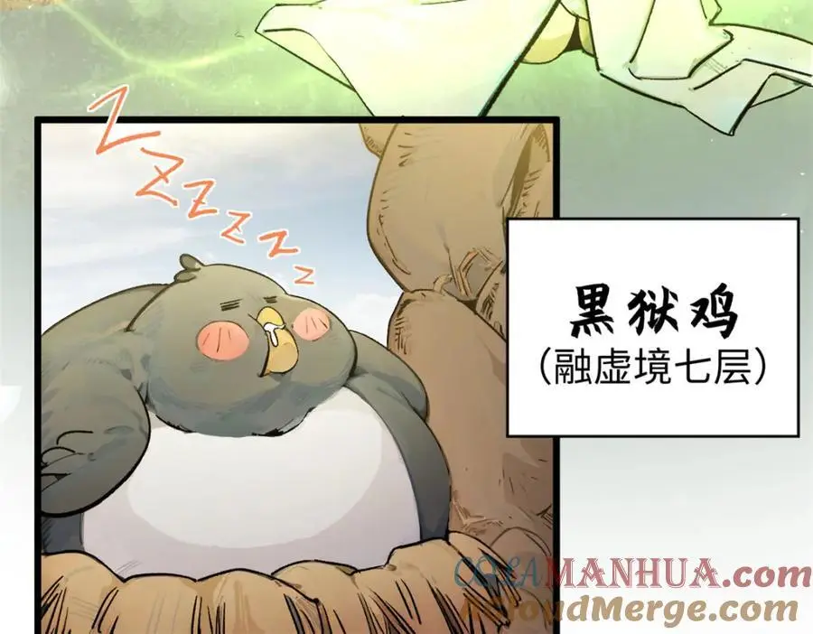141 天劫来临！24