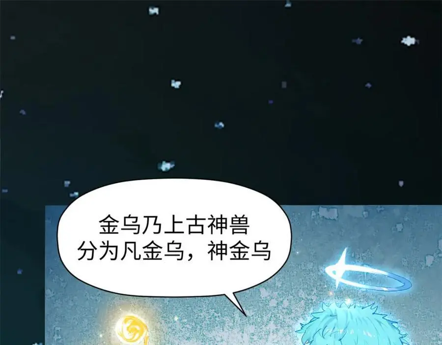 140 金乌66