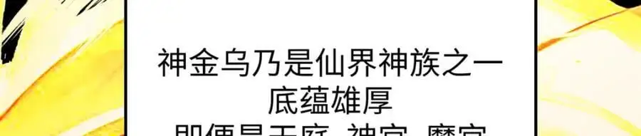 140 金乌74