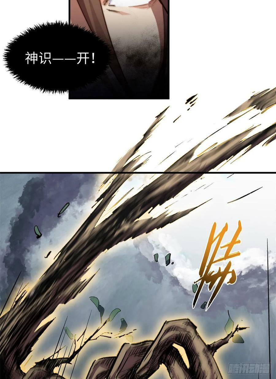 83 朱雀之子38