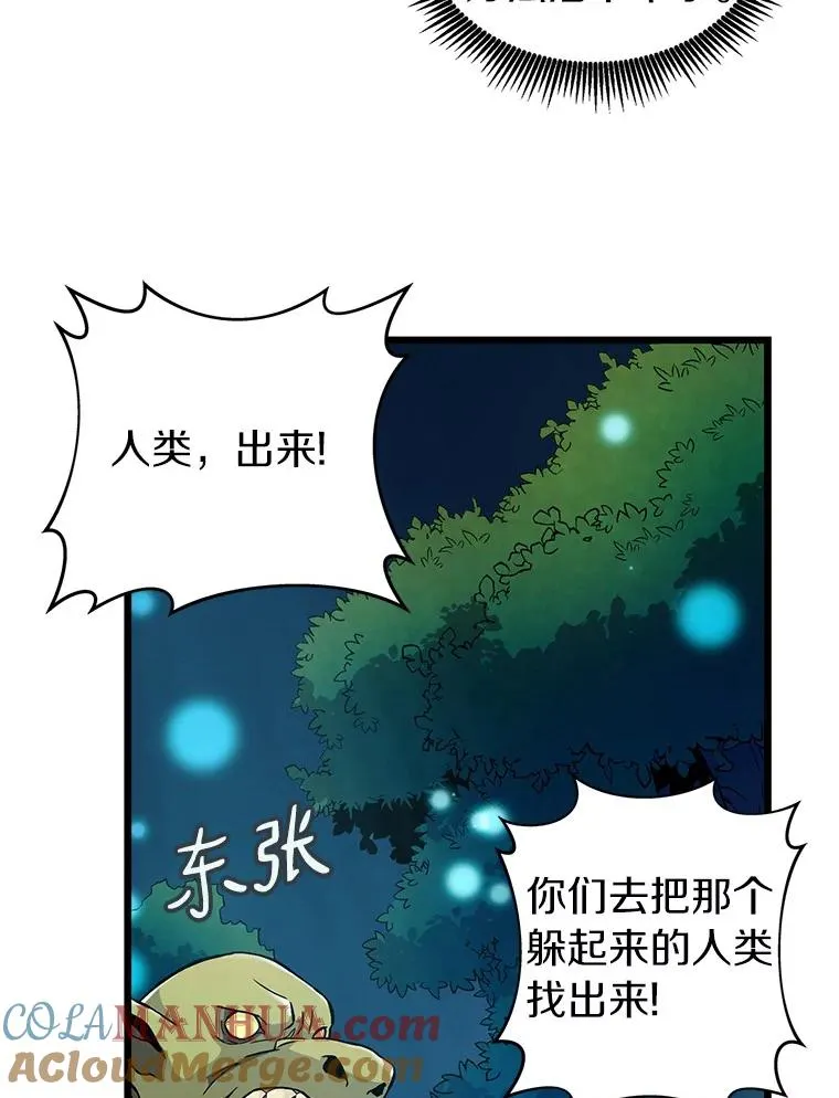 39.最强诱饵36