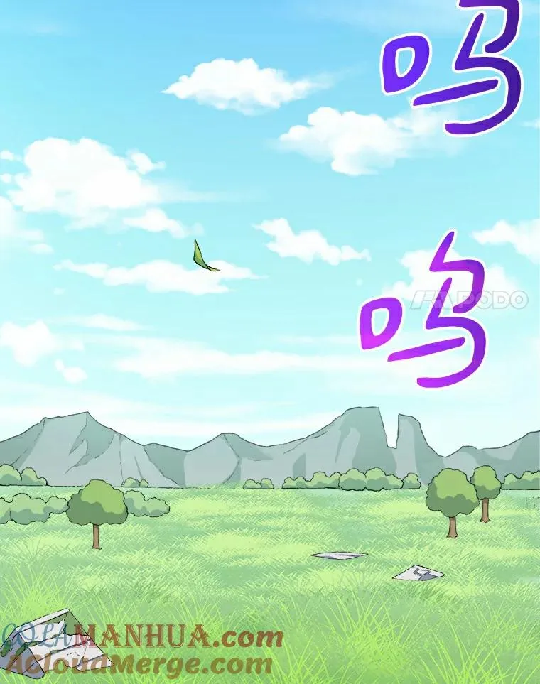 9.野狼24