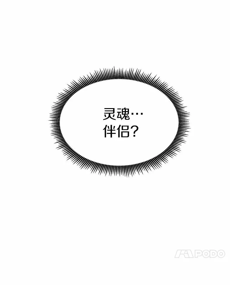21.星超公会6
