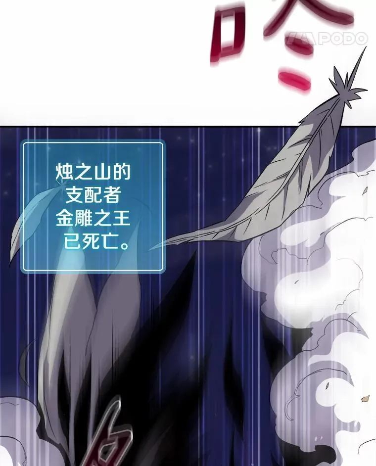 13.金雕之王41