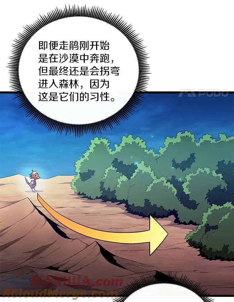 57.走鹃100
