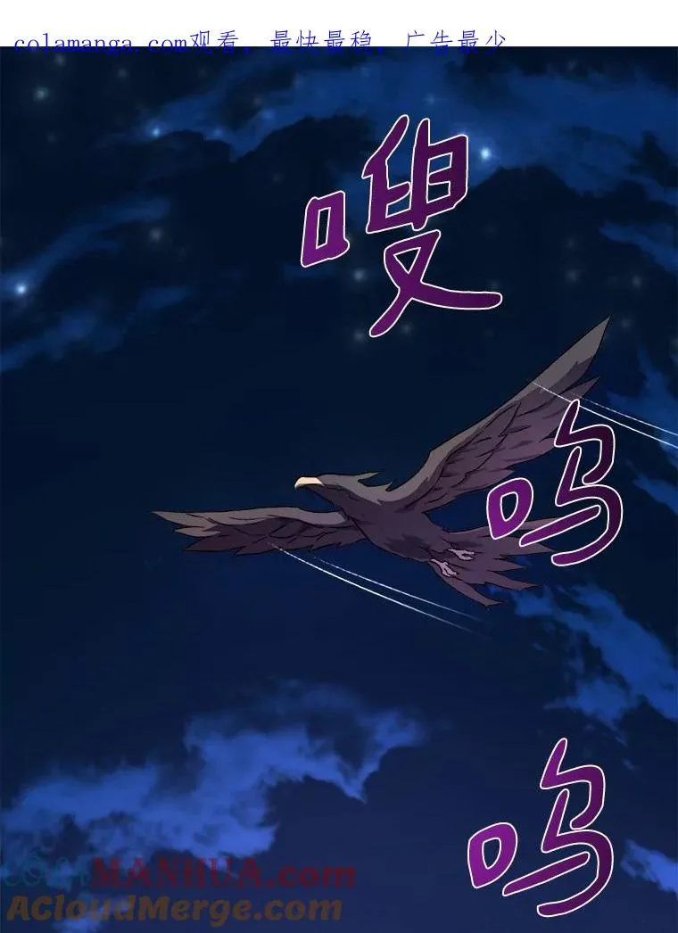 13.金雕之王0