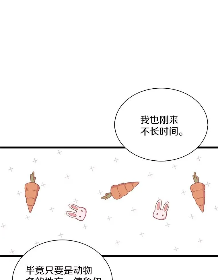 95.火枪改造147