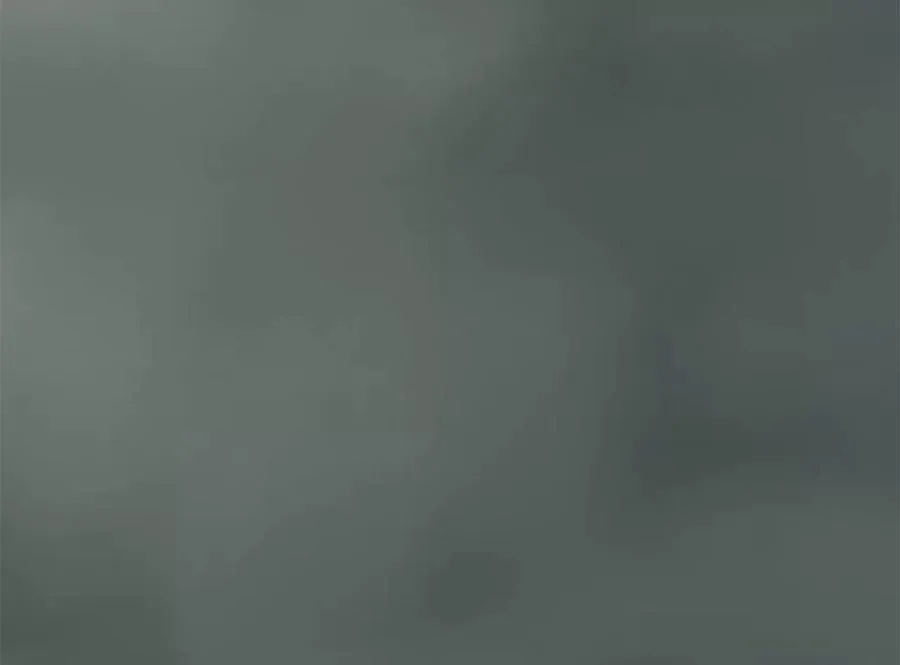 238.盟主之死285