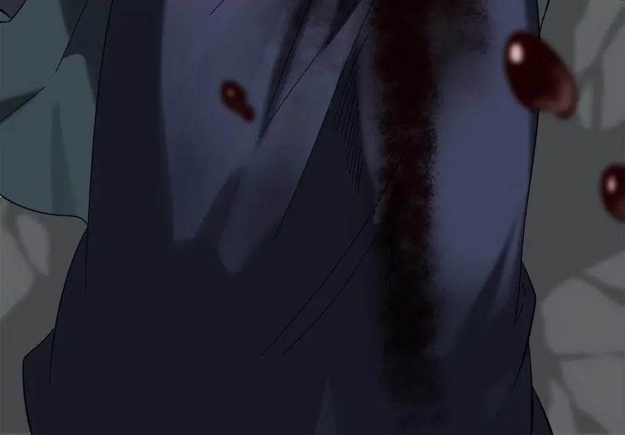 238.盟主之死283