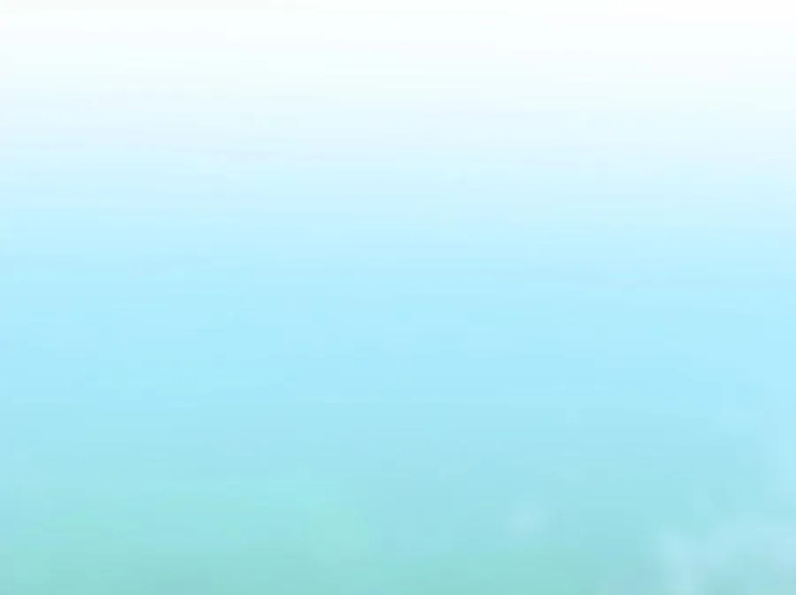 242.万能金钱205