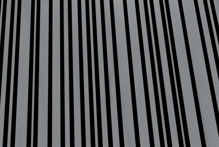 238.盟主之死145