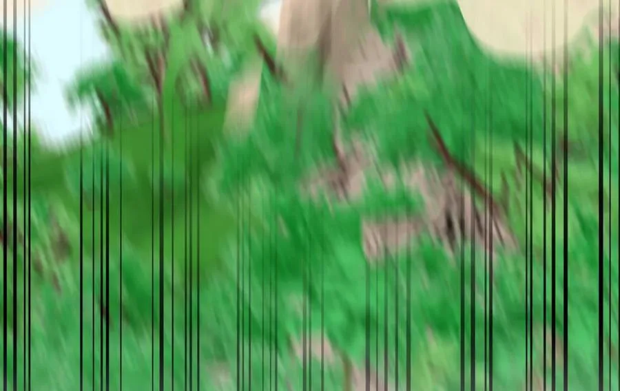 236.主动认输279
