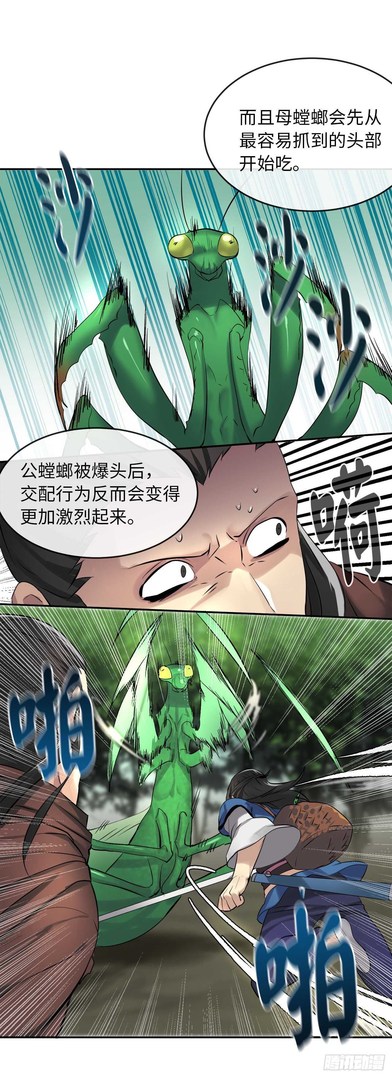 46.绿巨螳螂31