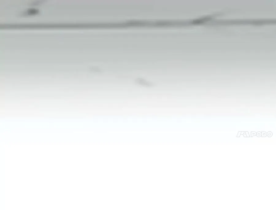 231.大战码头221
