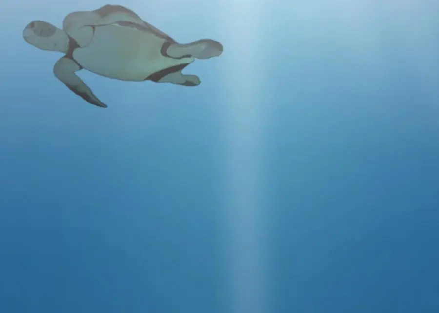 222.引蛇出洞165