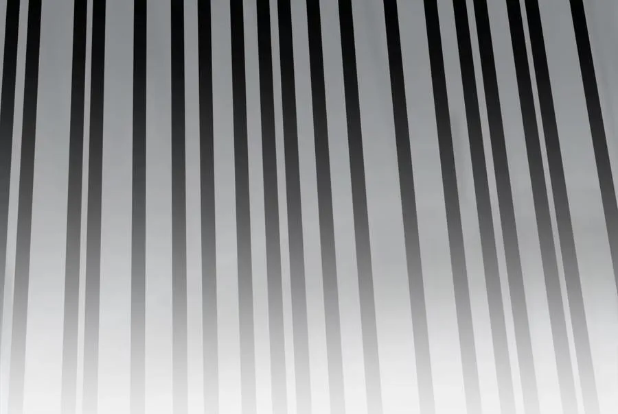 238.盟主之死146