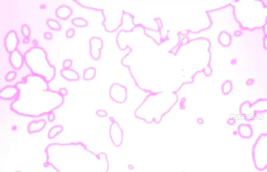 236.主动认输282