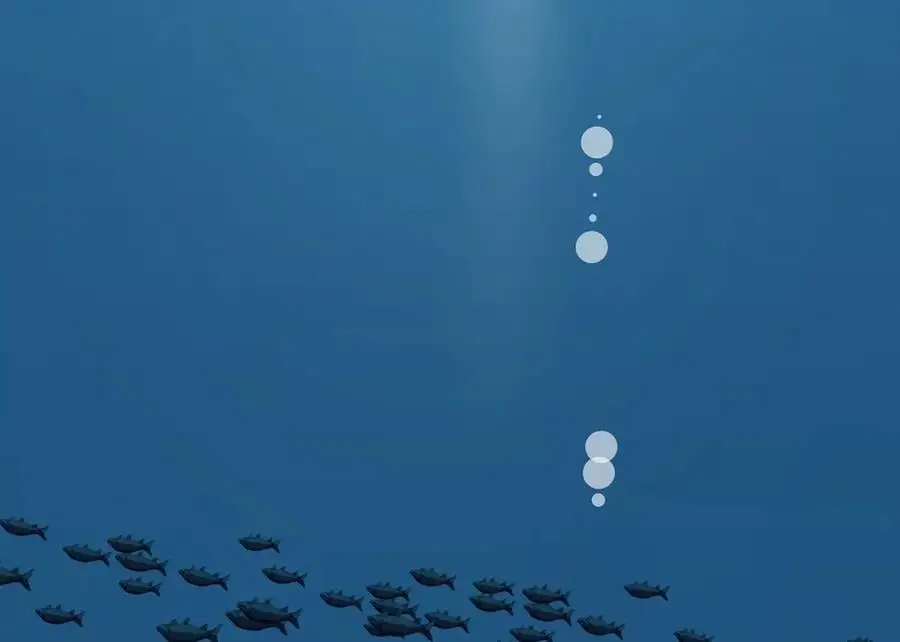 222.引蛇出洞166