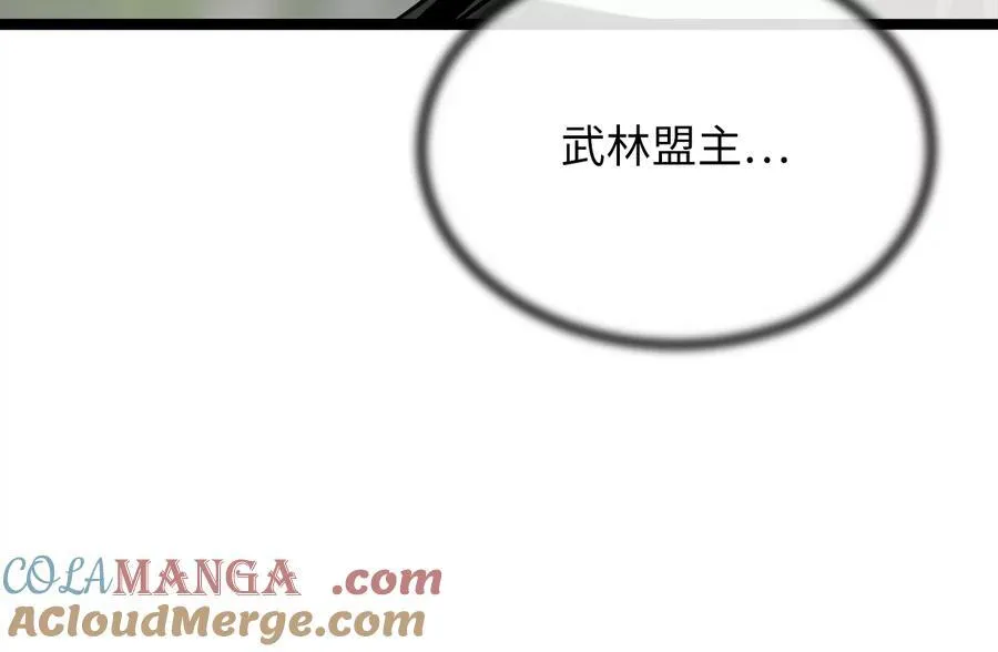 238.盟主之死228