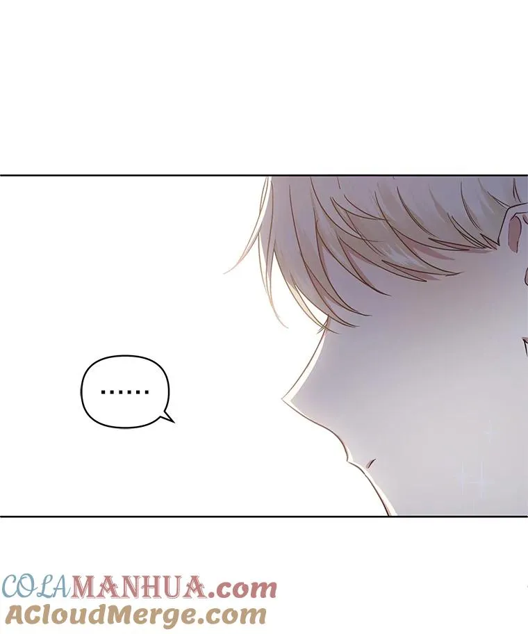 7.山茶花120