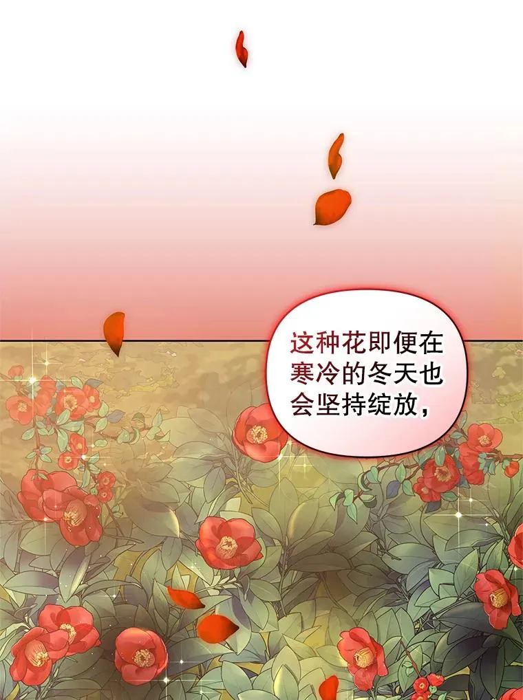 7.山茶花109