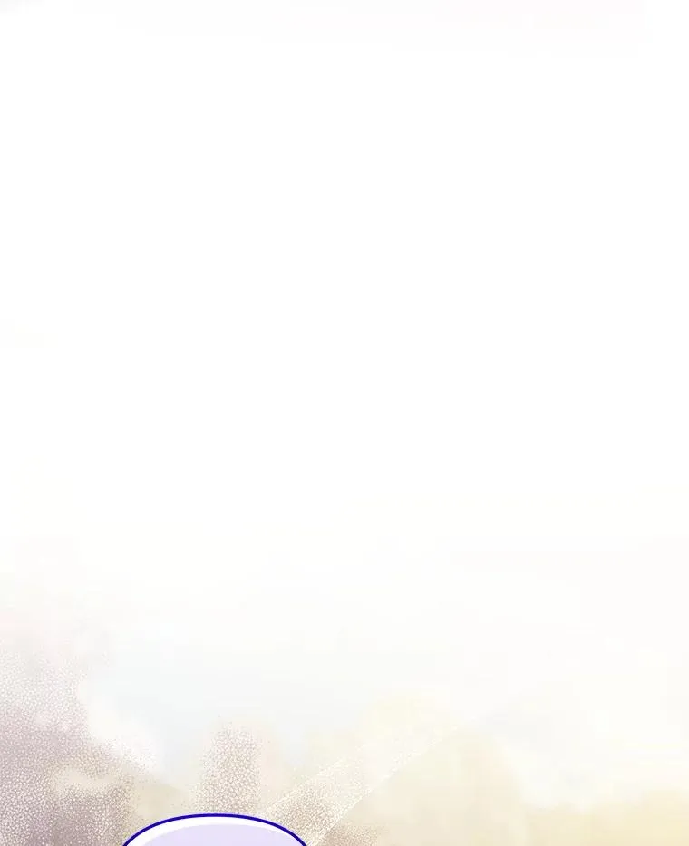 31.投资说明会113