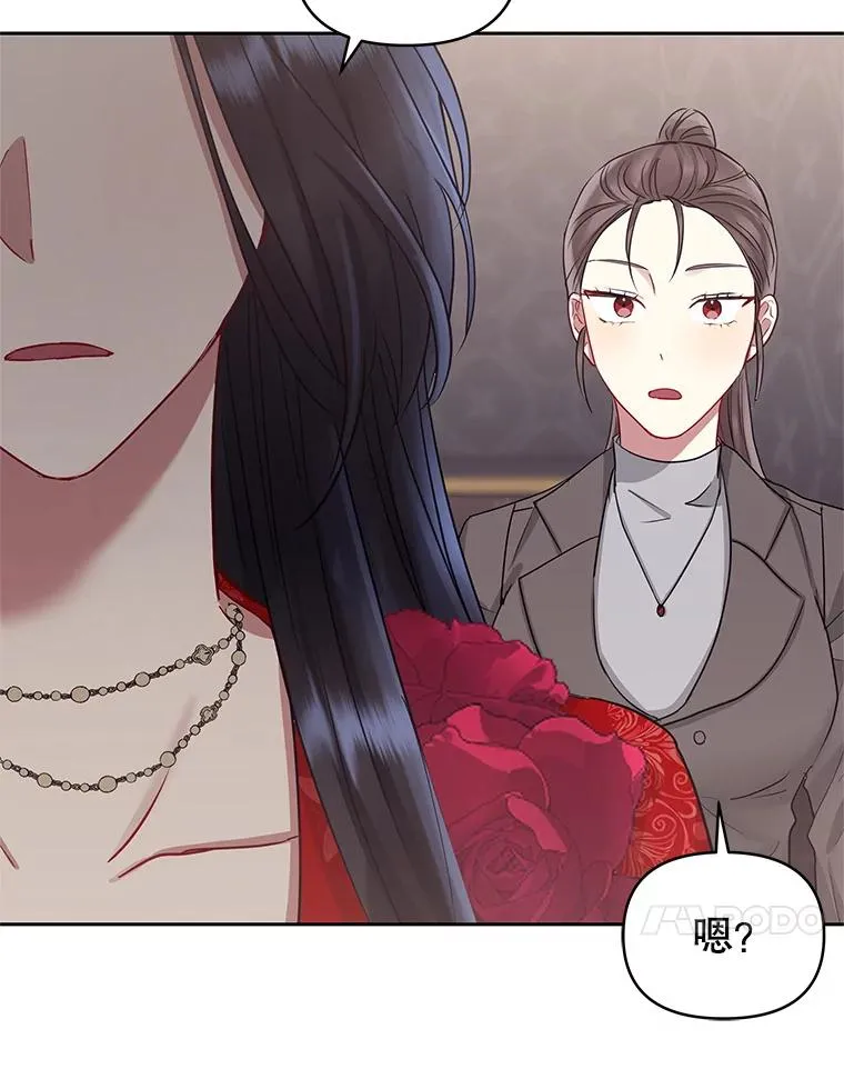54.访问杜布莱娜22