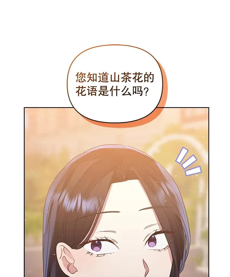 43.山茶花的花语49