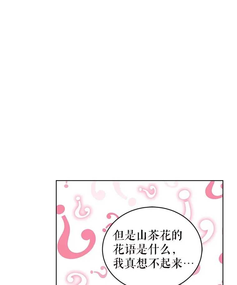 43.山茶花的花语53