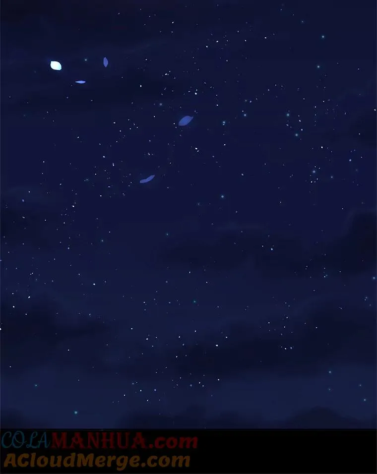 10.非法竞拍84